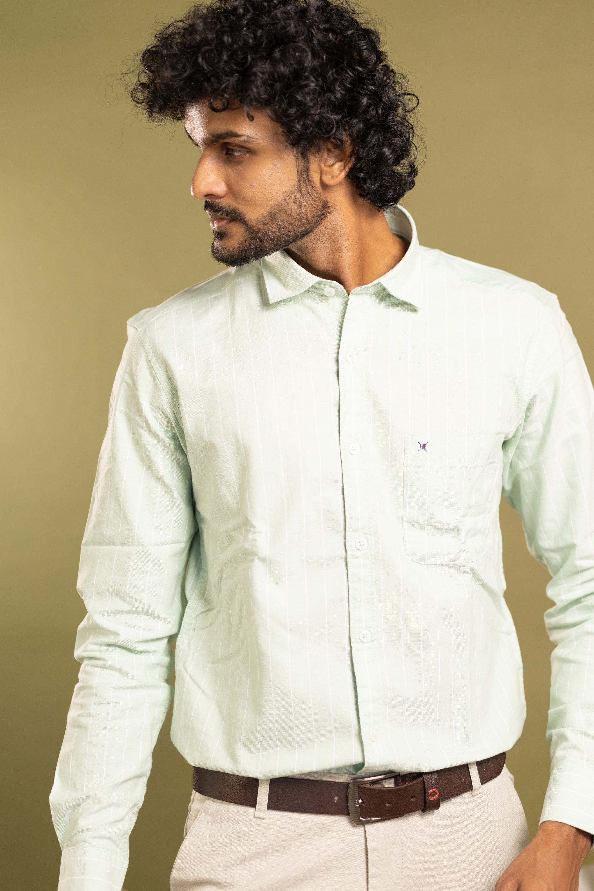 Men's full sleeve striped shirt in mint green