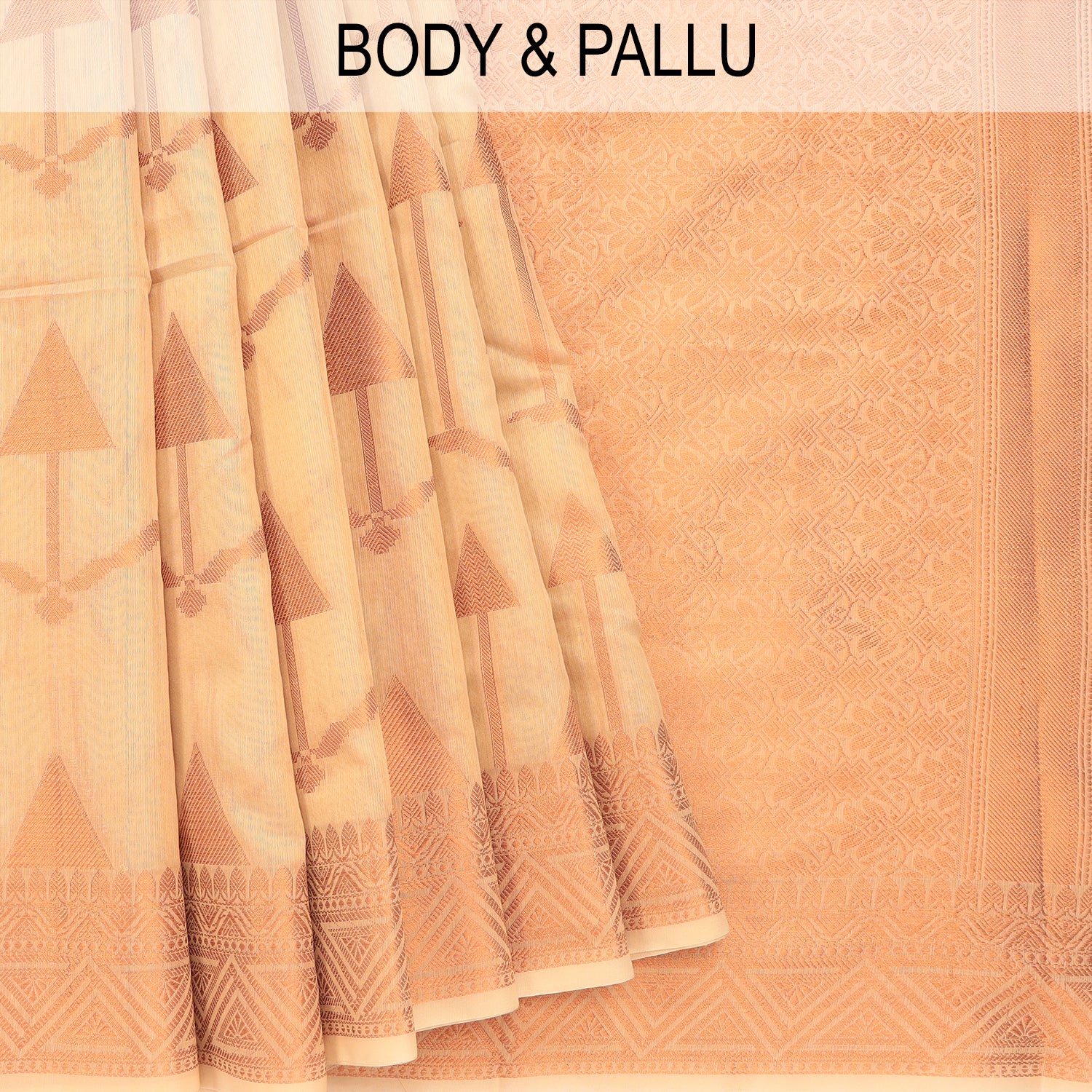 Fancy Silk Cotton Sarees - Sri Ganapathy Silks Private Limited